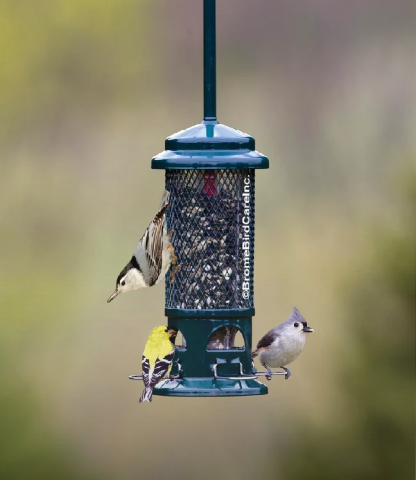How to choose the right feeder