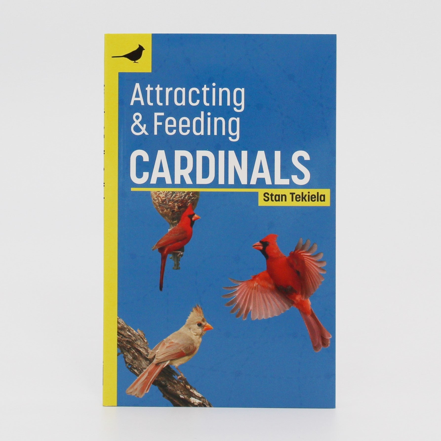 Attracting & Feeding Cardinals