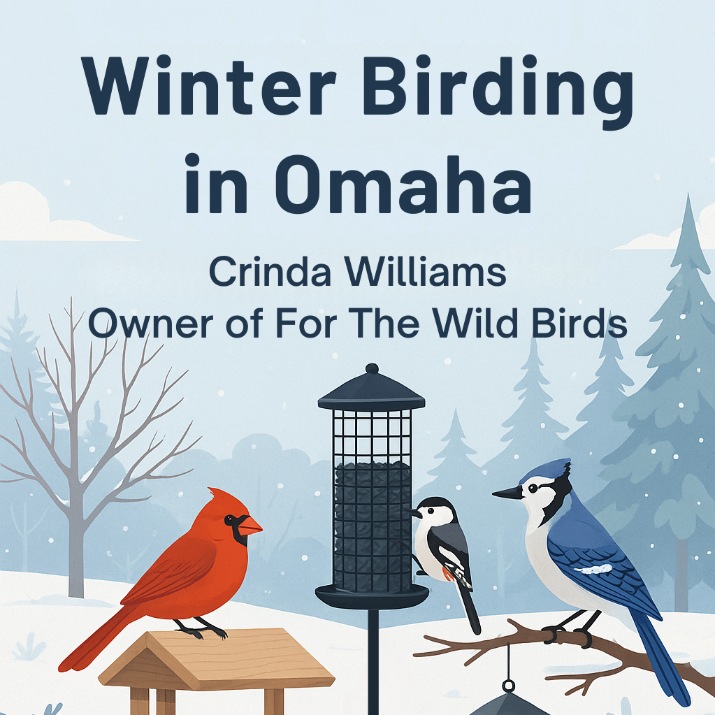 Crinda's Winter Backyard Birding Tips