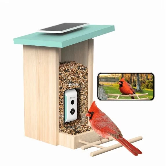Birdfy Solar 1080P Smart Birdfeeder Camera Cyan