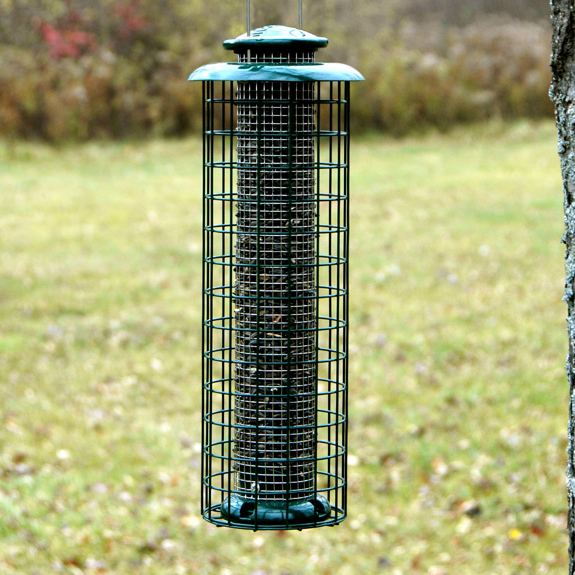Caged Mesh Black Oil/Peanut Feeder