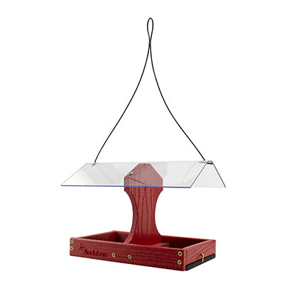 Going Green 2-Sided Cardinal Platform Feeder