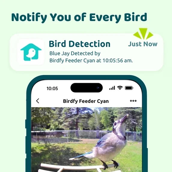 Birdfy Solar 1080P Smart Birdfeeder Camera Cyan