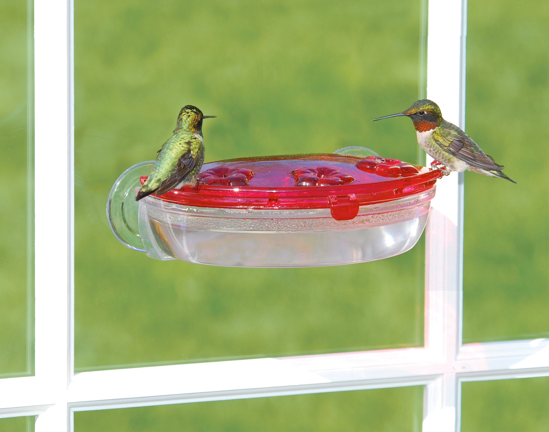 Aspects Jewel Box window hummingbird feeder close-up view