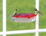 Aspects Jewel Box window hummingbird feeder close-up view
