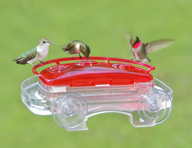 Aspects Jewel Box window hummingbird feeder mounted on glass with hummingbird feeding