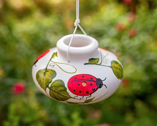 Lone Wolf Short Hummingbird Feeder