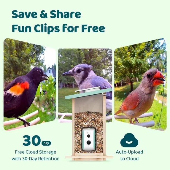 Birdfy Solar 1080P Smart Birdfeeder Camera Cyan