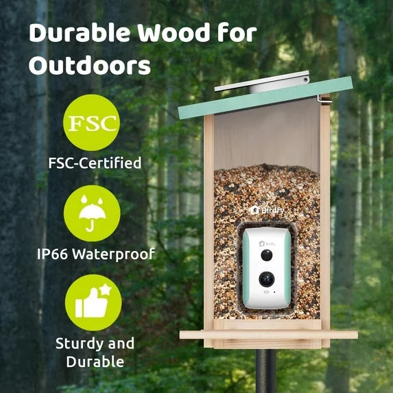 Birdfy Solar 1080P Smart Birdfeeder Camera Cyan