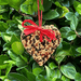 Mr. Bird Little Heart seed treat, styled gift presentation