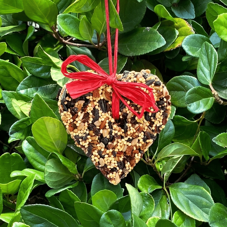 Mr. Bird Little Heart seed treat, styled gift presentation