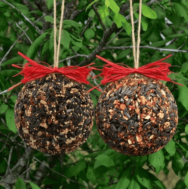 Seed & Nut Ornament - styled presentation