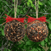 Seed & Nut Ornament - styled presentation