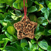 Little Star seed ornament - styled presentation