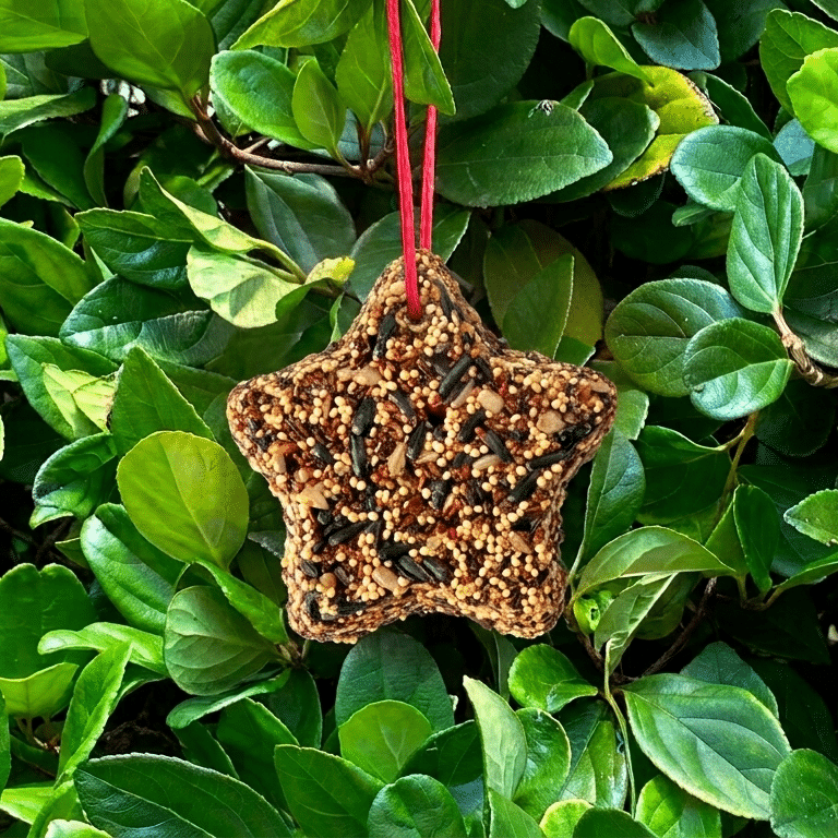 Little Star seed ornament - styled presentation