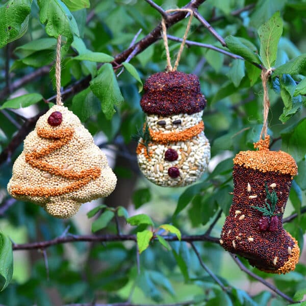 Mr Bird - Christmas Shape Seed Ornaments - Assorted