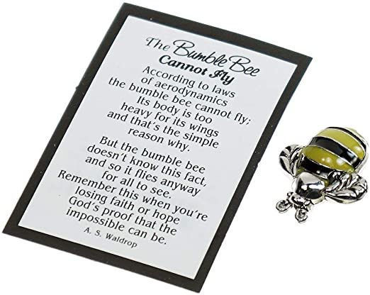 The Bumblebee Cannot Fly Charm
