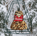 Christmas Fruit & Nut Bell - styled gift presentation