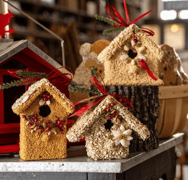 Poinsettia Birdie Cottage - styled presentation