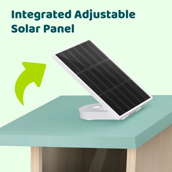 Birdfy Solar 1080P Smart Birdfeeder Camera Cyan