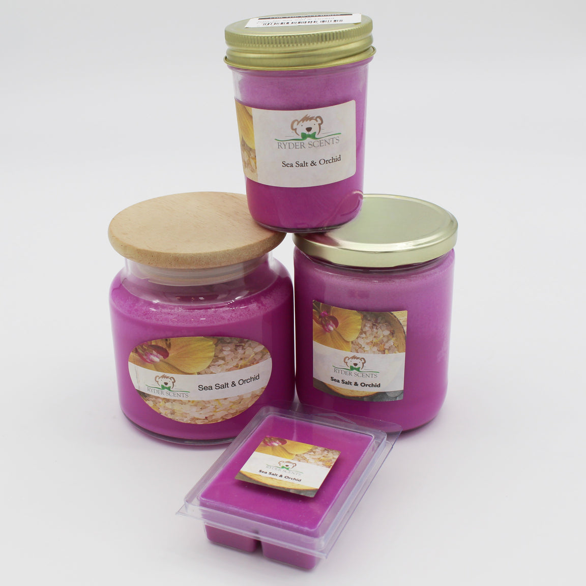 For the Wild Birds Bird Seed and Supply Omaha, NE