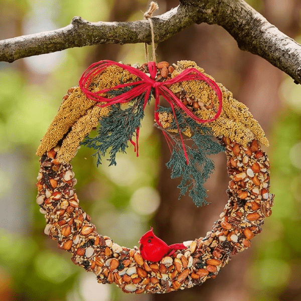 Mr Bird - Rustic Wreath