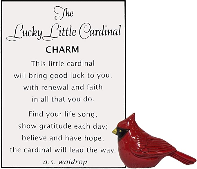 Little Cardinal Pocket Token