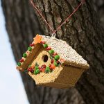Mr Bird - Fruit Casita