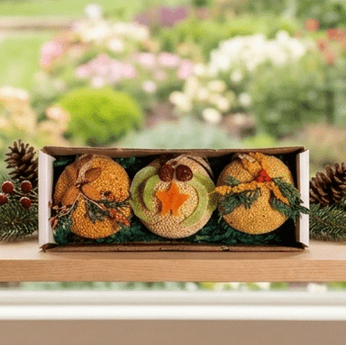 Fruit Ornament assorted seed balls - styled presentation