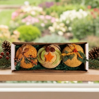 Fruit Ornament assorted seed balls - styled presentation