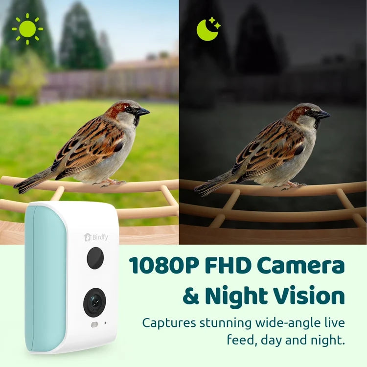 Birdfy Solar 1080P Smart Birdfeeder Camera Cyan