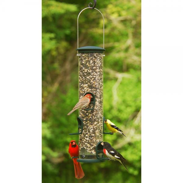 Quick Clean Spruce Seed Tube Feeder