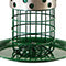 Audubon Mealworm and Peanut Combination Feeder