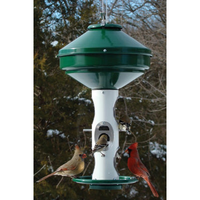3 Gallon Mixed Tube Seed Feeder