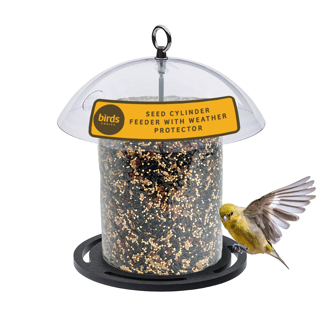Birds Choice Recycled Plastic Seed Cylinder Feeder