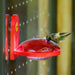Red Recycled Plastic Window Mount Hummingbird Feeder with hummingbird feeding