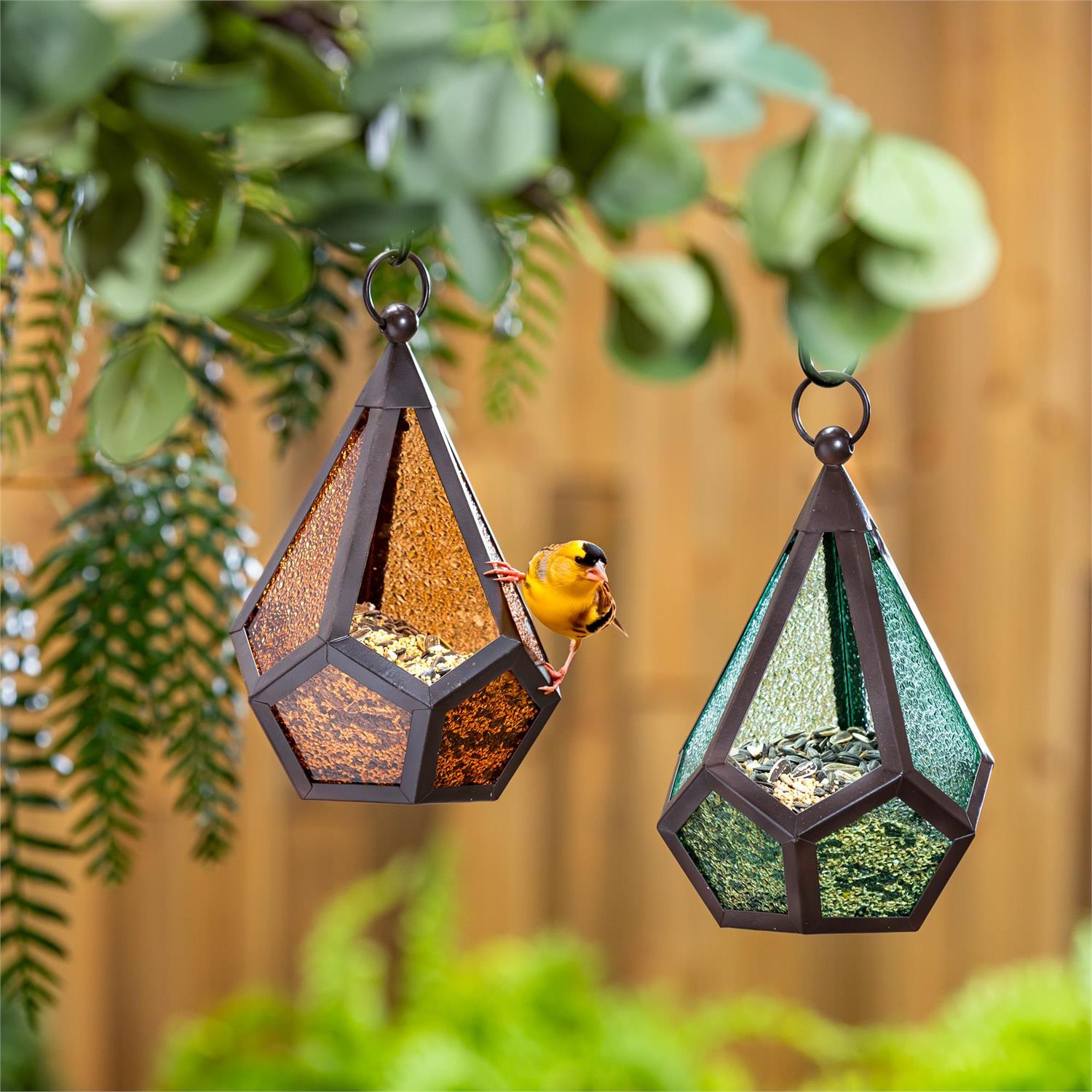 VivaStyle Glass Diamond Shaped Birdfeeder - 11" Asst Color