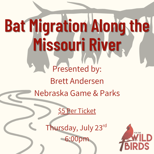 Bat Migration Along the Missouri River - Thursday, July 23rd Event Ticket