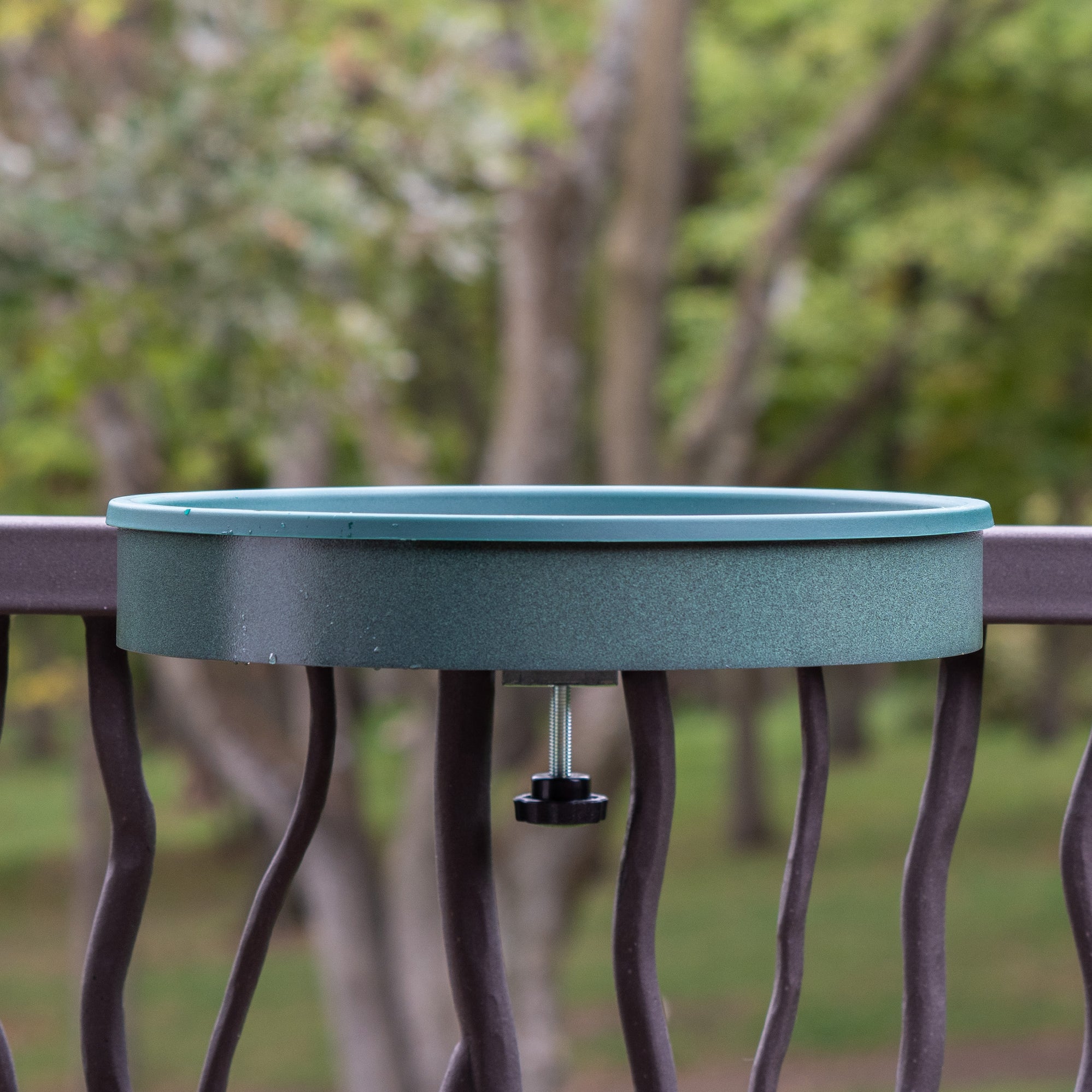 For the Wild Birds Bird Seed and Supply Omaha, NE