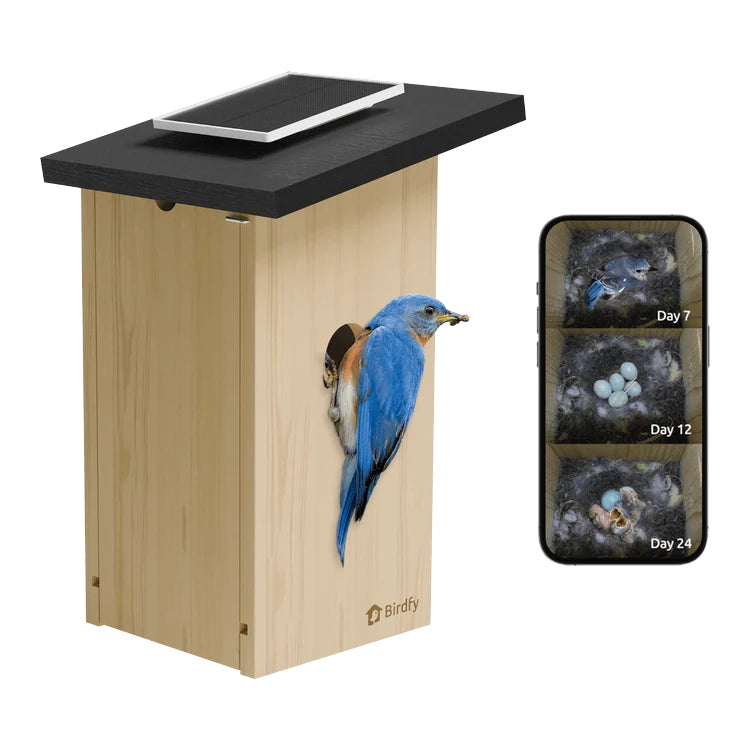 Birdfy Nest Ebony smart birdhouse, front view showing ebony wood finish and camera lens