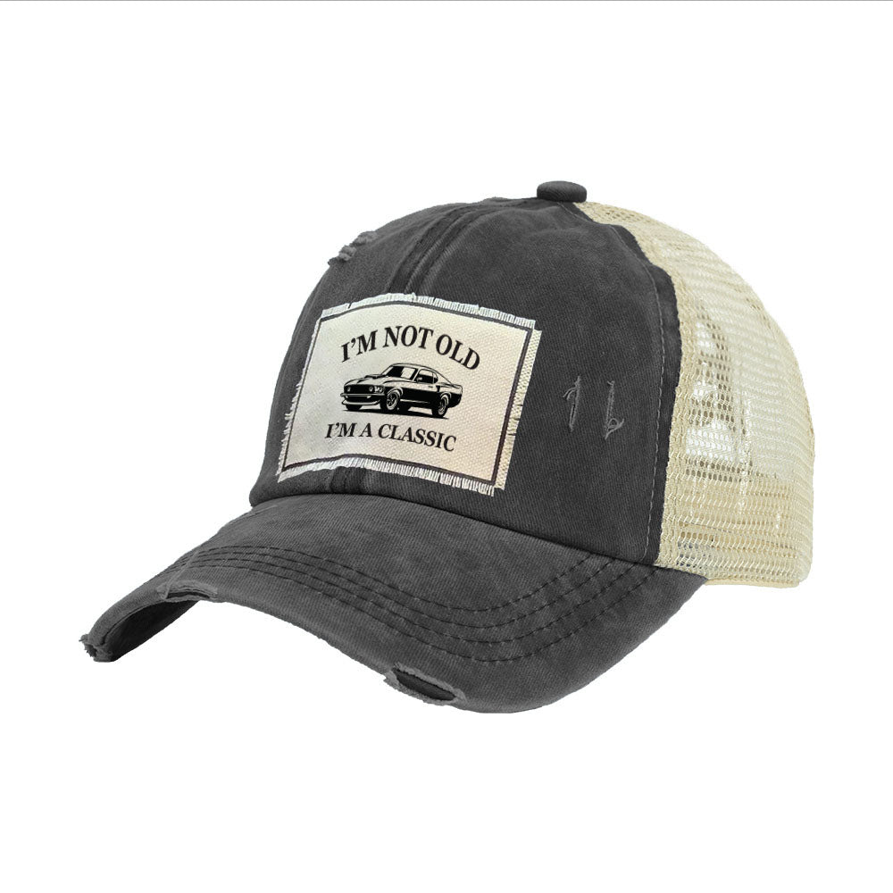 Brief Insanity Vintage Distressed Cap
