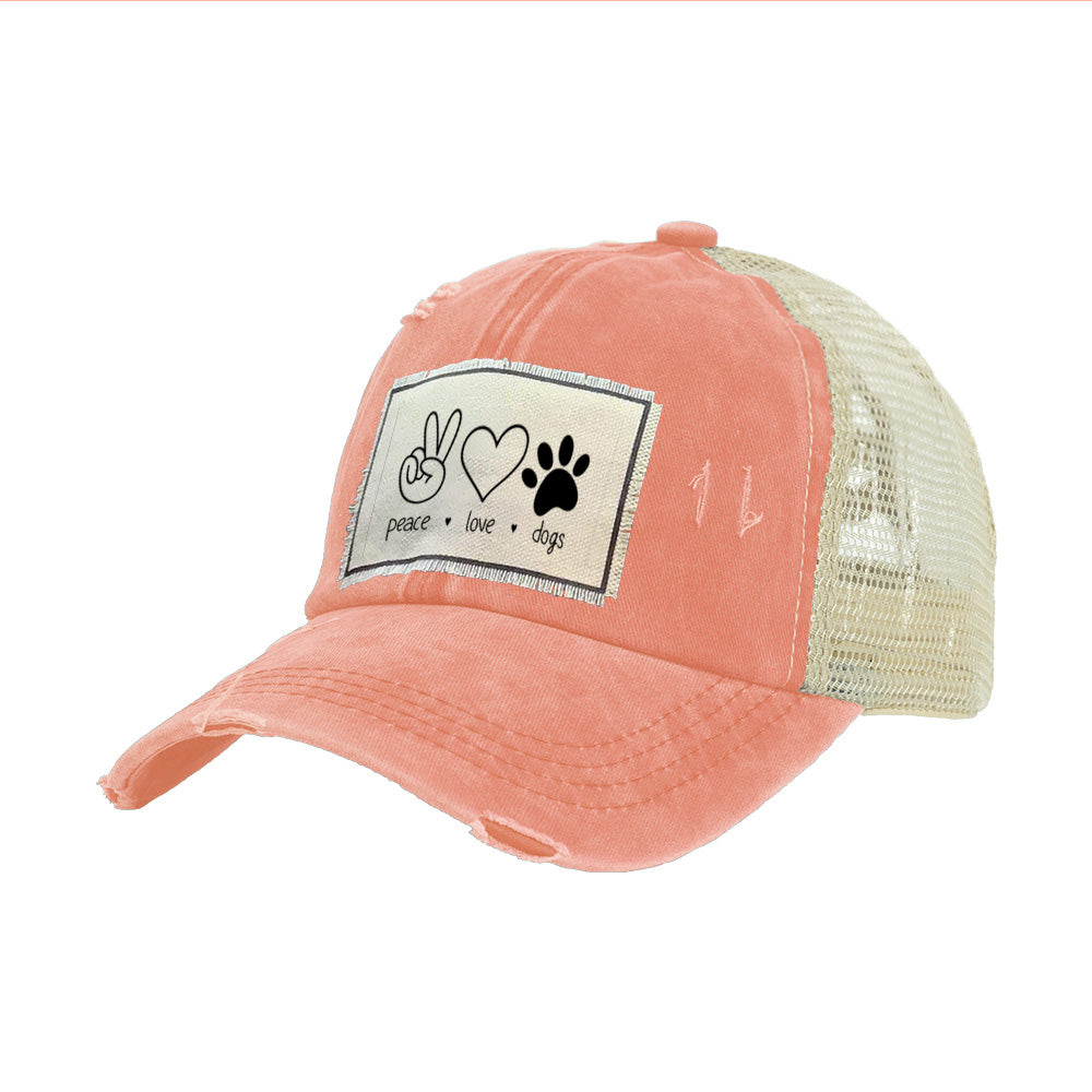 Brief Insanity Vintage Distressed Cap