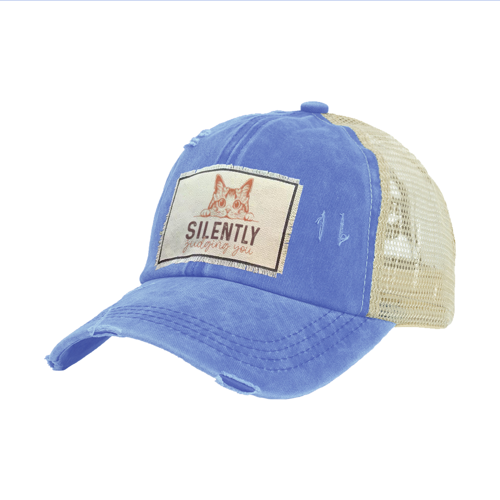 Brief Insanity Vintage Distressed Cap