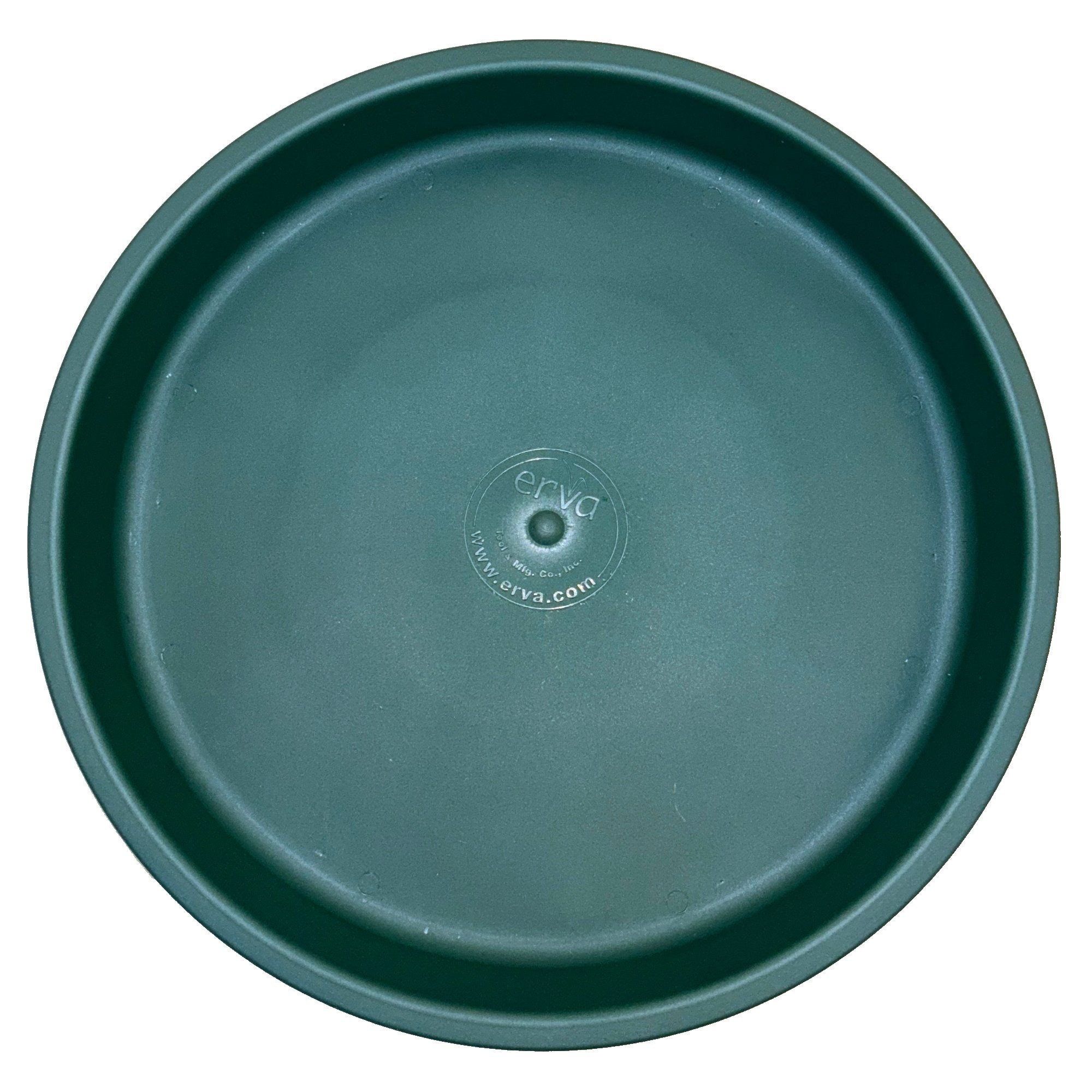 Erva bird bath insert detail