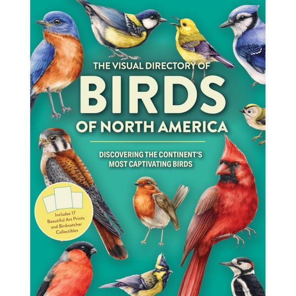 Visual Directory Of Birds of North America