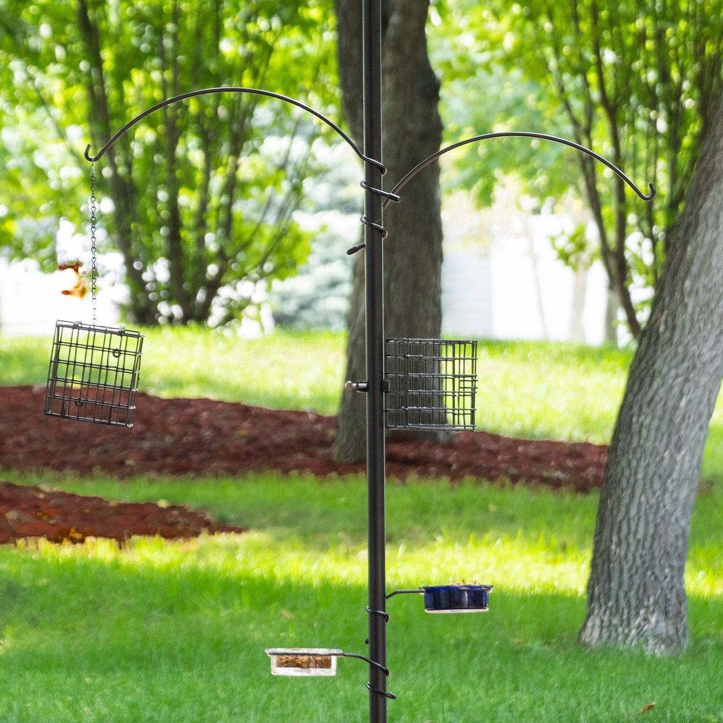 For the Wild Birds Bird Seed and Supply Omaha, NE