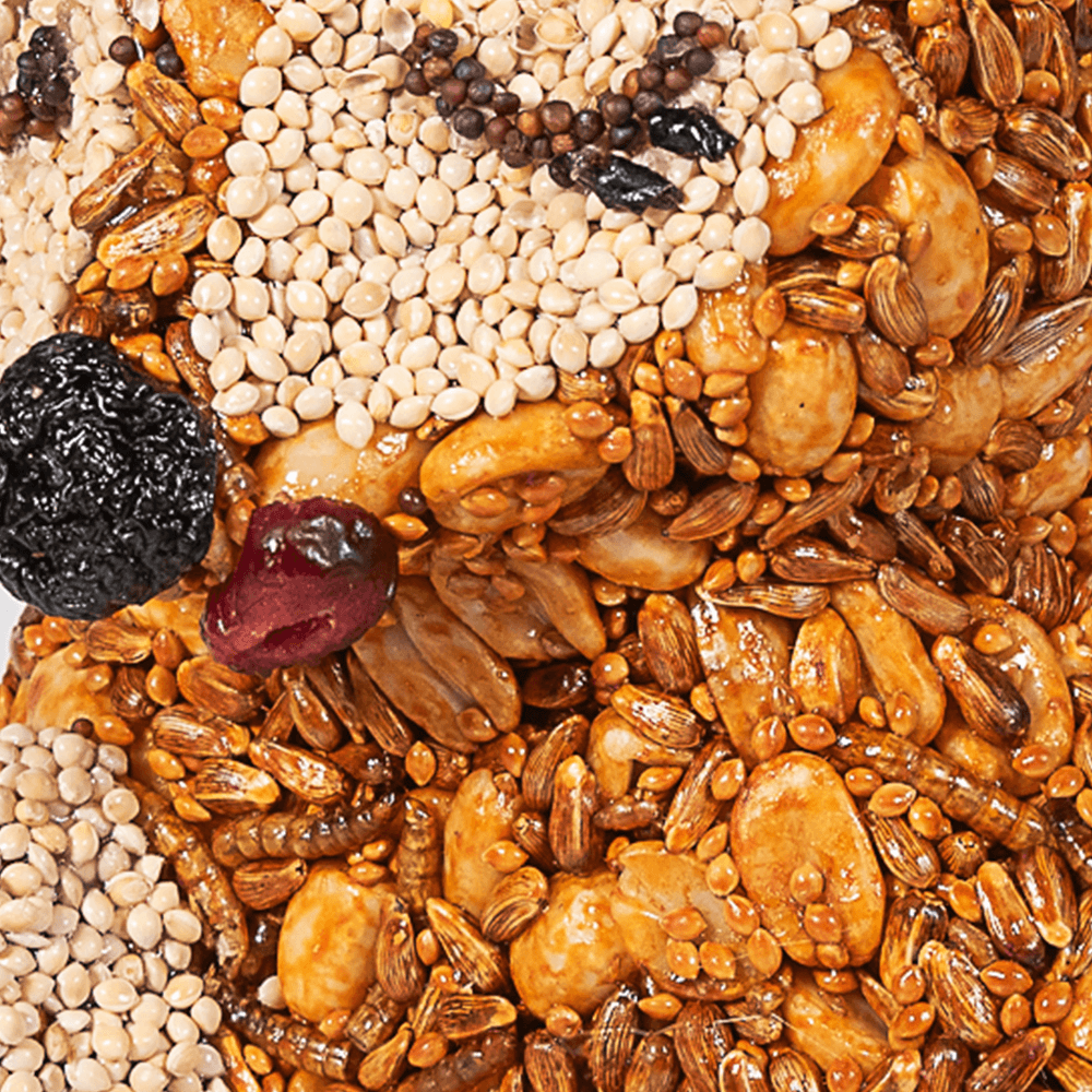 Hot Foxy seed treat, close-up detail