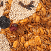 Hot Foxy seed treat, close-up detail
