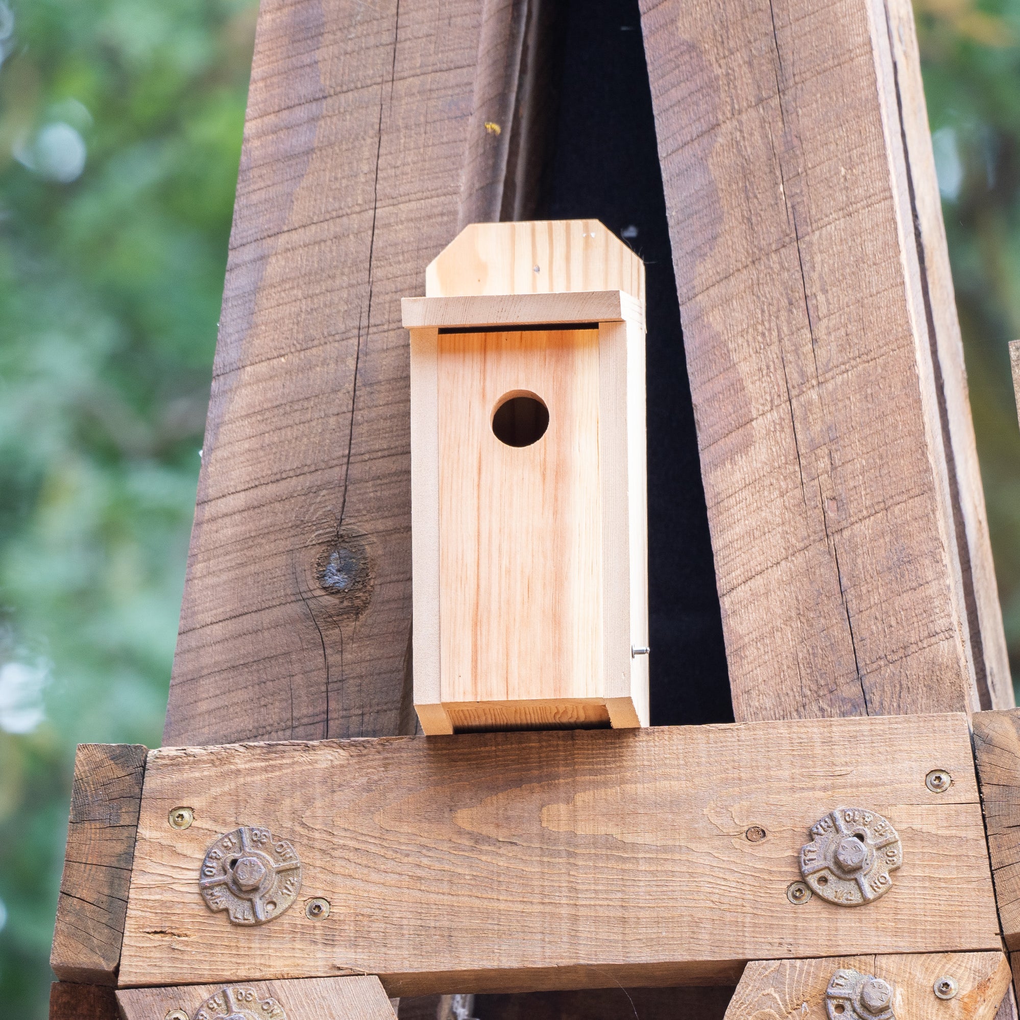 For the Wild Birds Bird Seed and Supply Omaha, NE