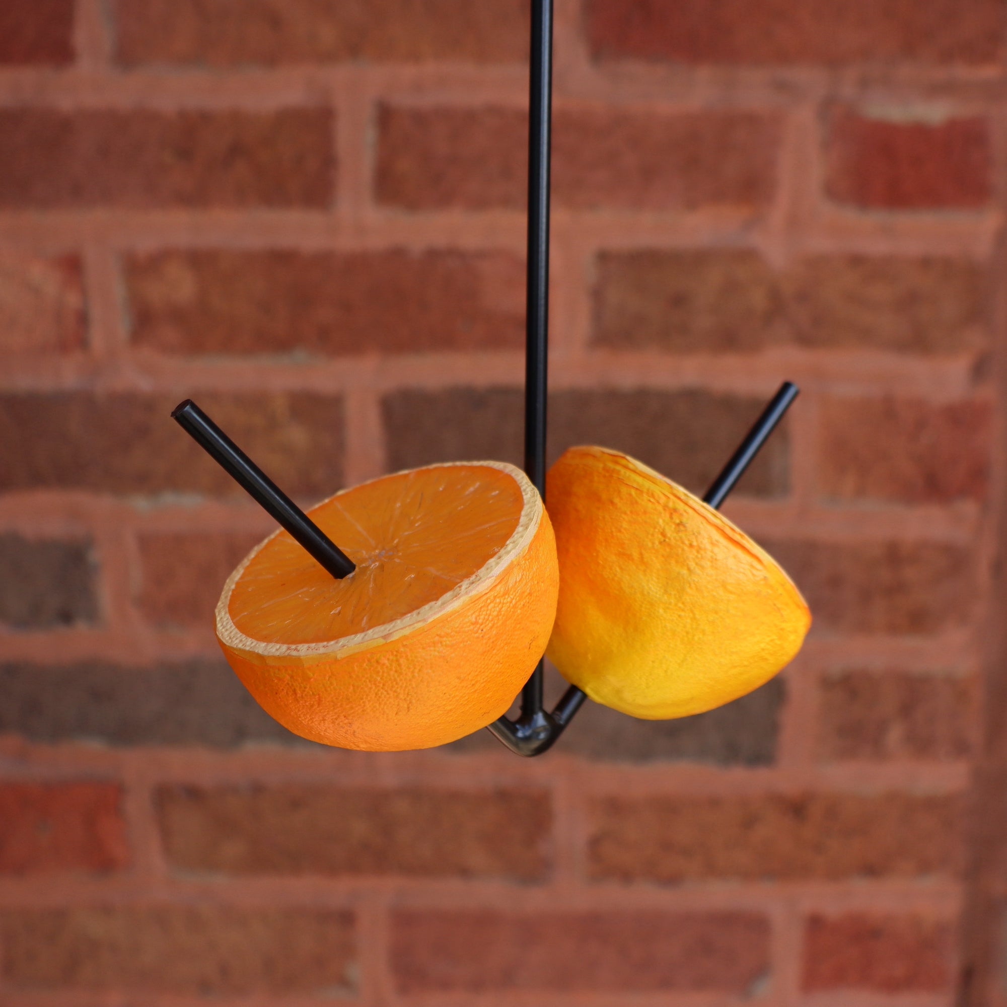 Erva Two Prong Fruit Feeder detail